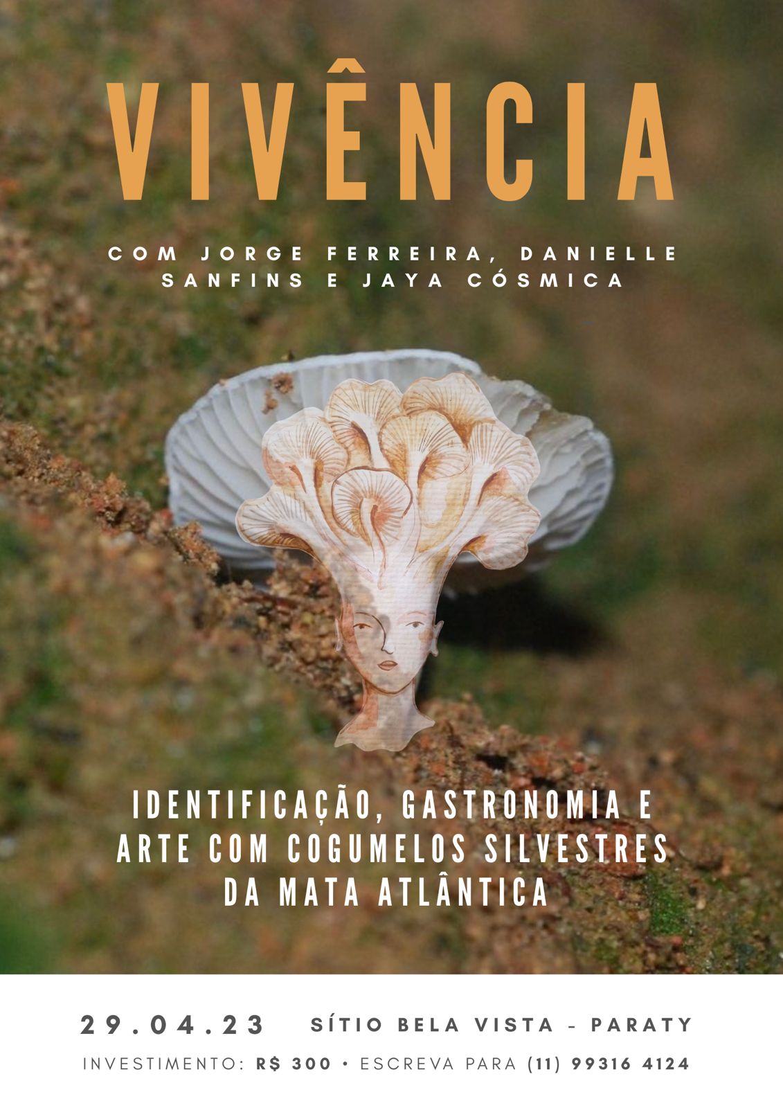 Cogumelos Selvagens da Mata Atlântica 