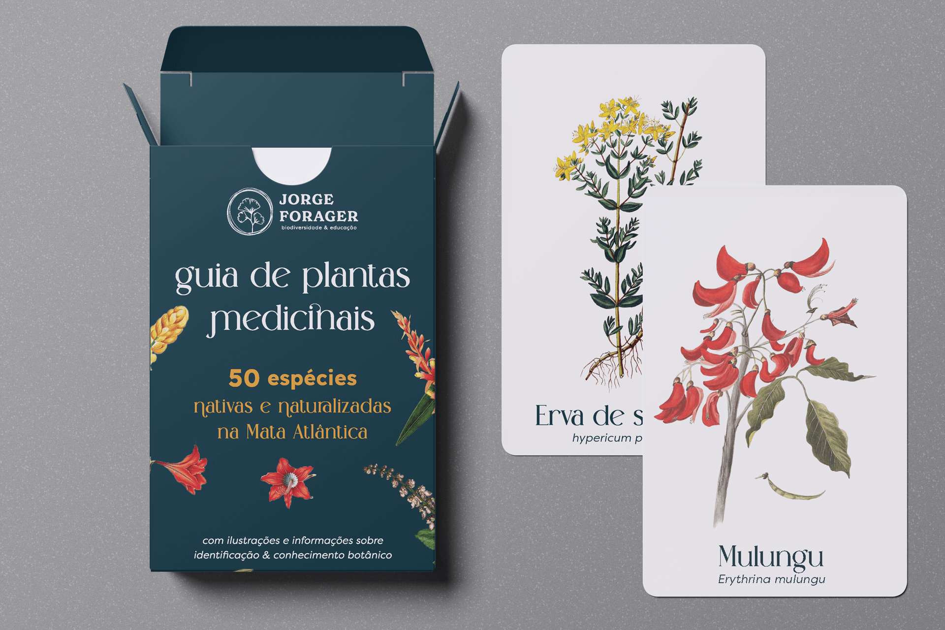 Kit de Guias Plantas da Mata Atlântica - Imagem 2