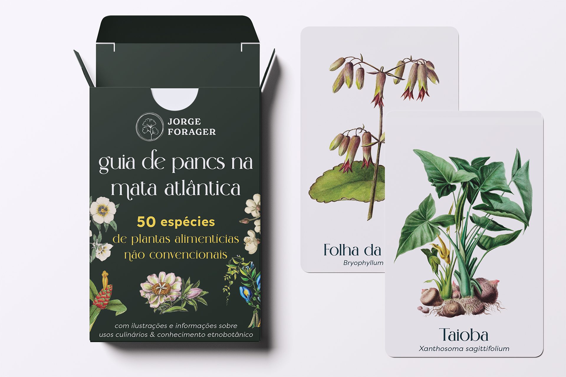 Guia de Pancs nativas e naturalizadas na Mata Atlântica